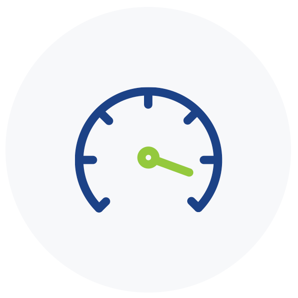 Speed icon
